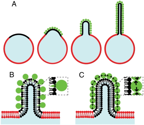 Fig. 5.