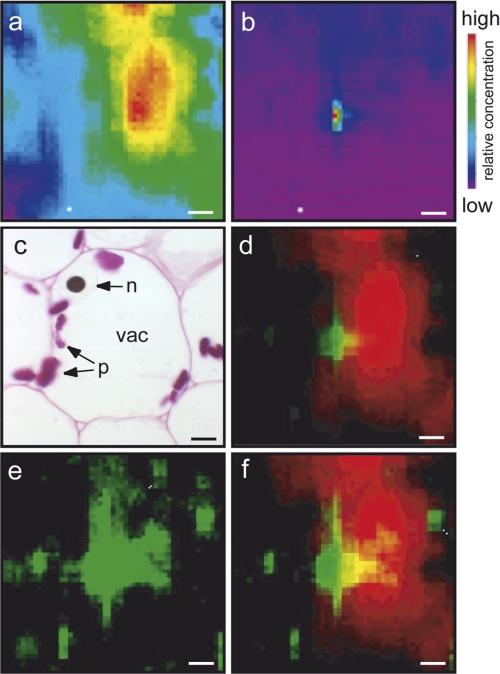 FIGURE 2.