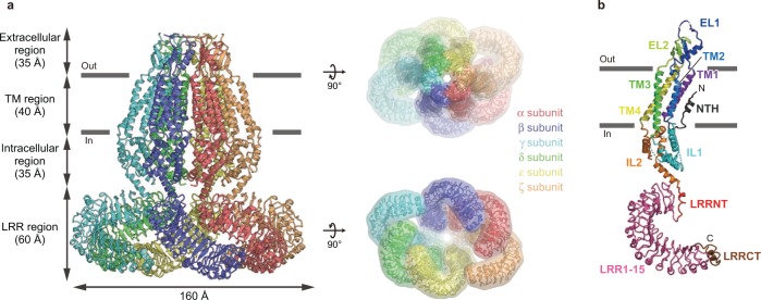 Fig. 1