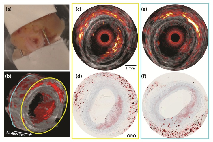 Fig. 2