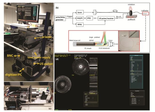 Fig. 1