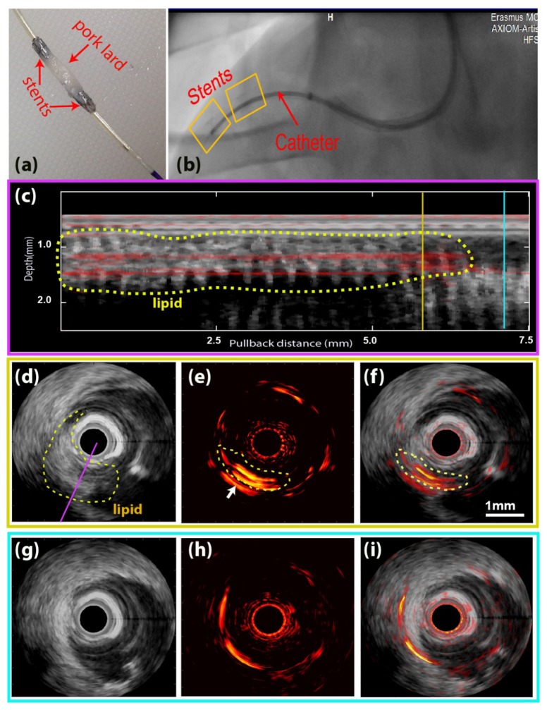 Fig. 3