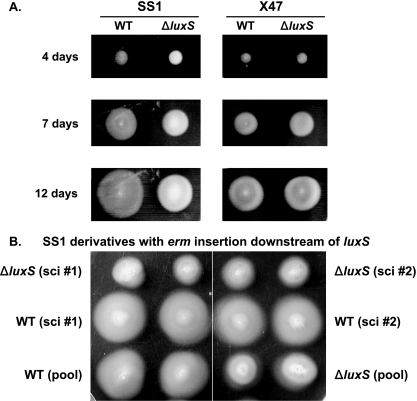 FIG. 4.