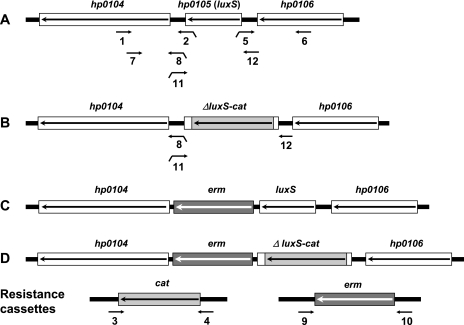 FIG. 2.