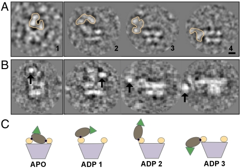 Fig. 4.