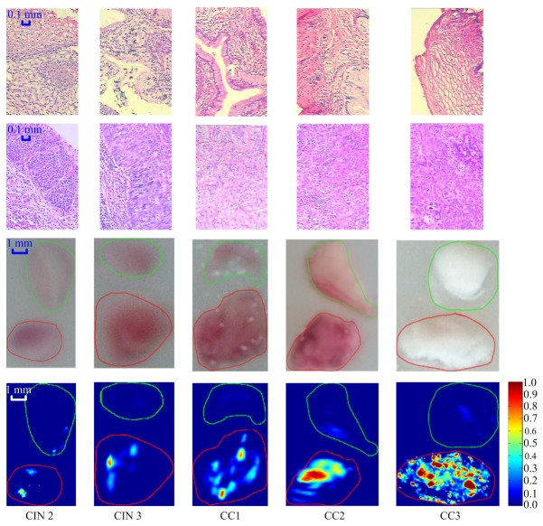 Fig. 3