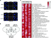 Extended Data 6