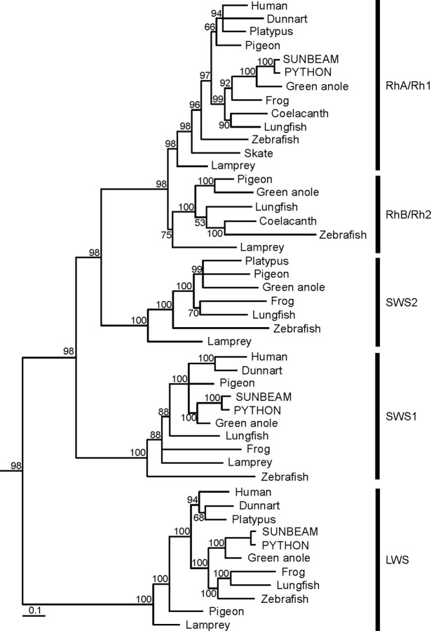 Figure 4.