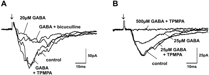 Fig. 9.