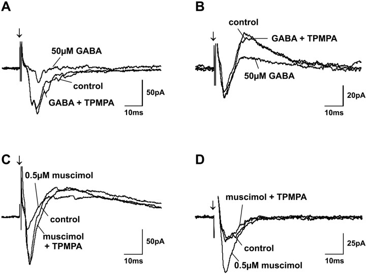 Fig. 8.