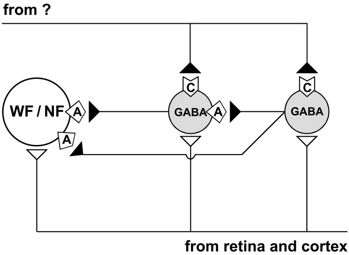 Fig. 10.