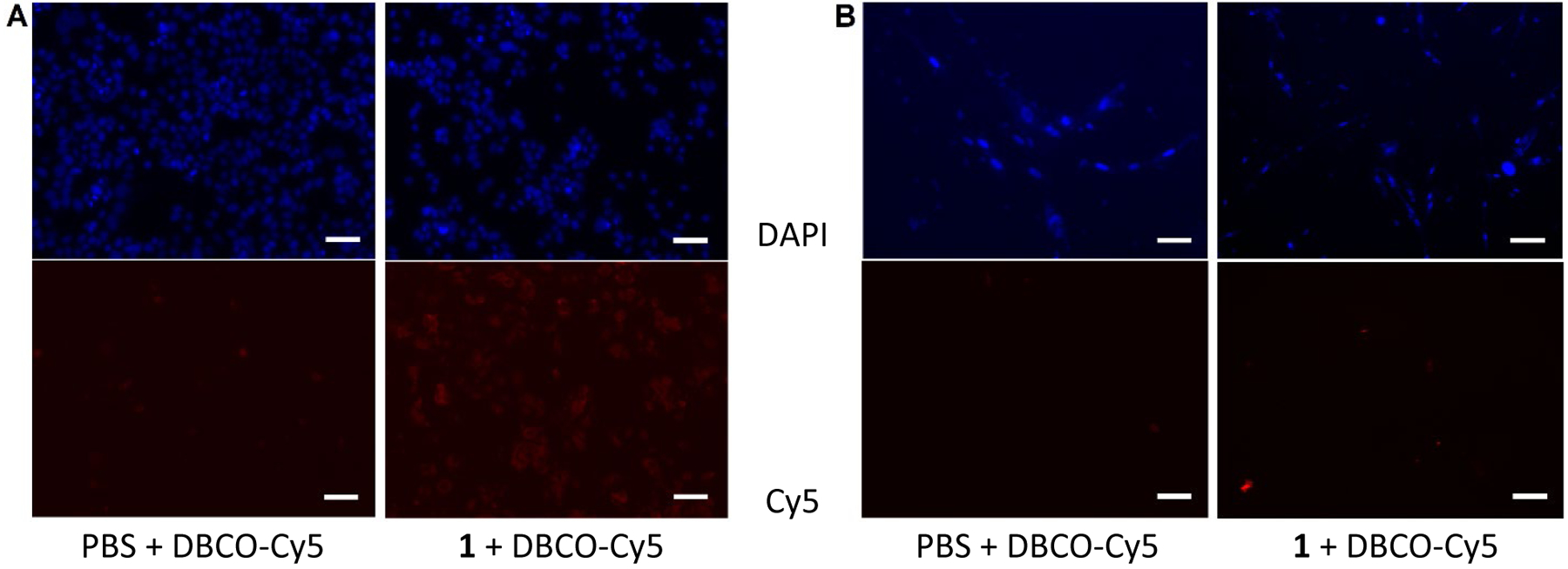 Figure 5: