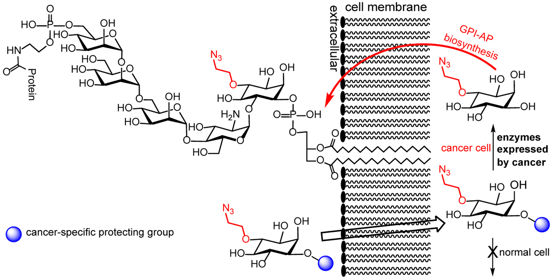 Figure 2: