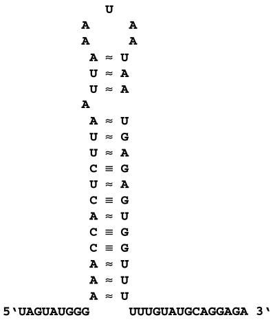 FIG. 5