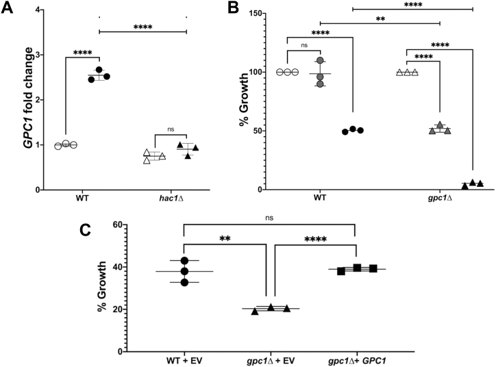 Figure 5
