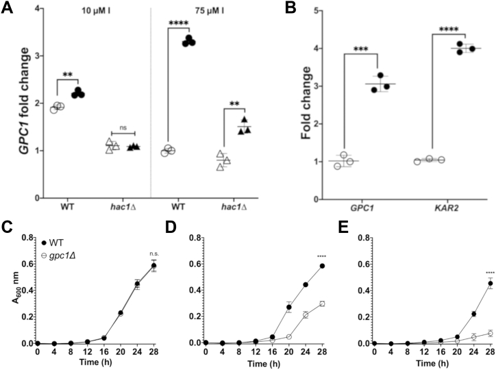 Figure 4