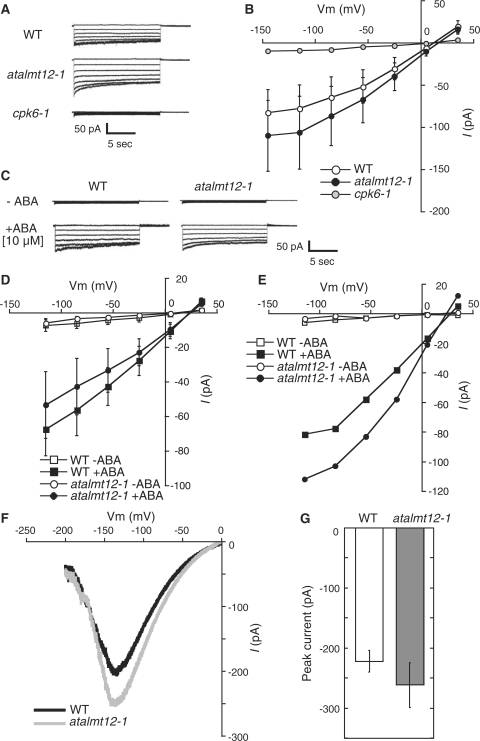 Fig. 6