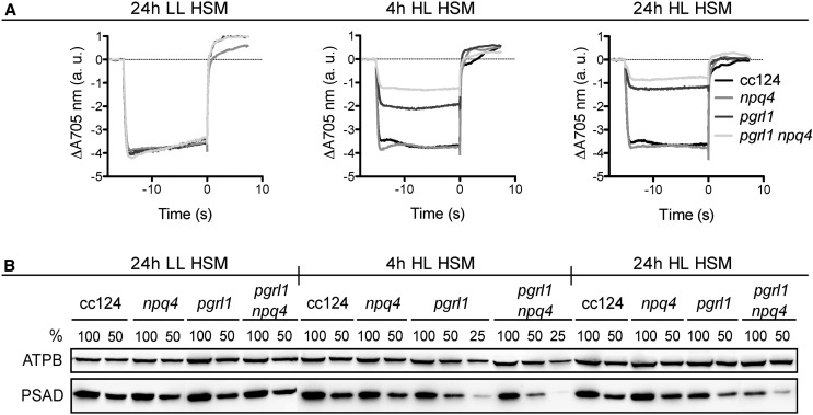 Figure 7.