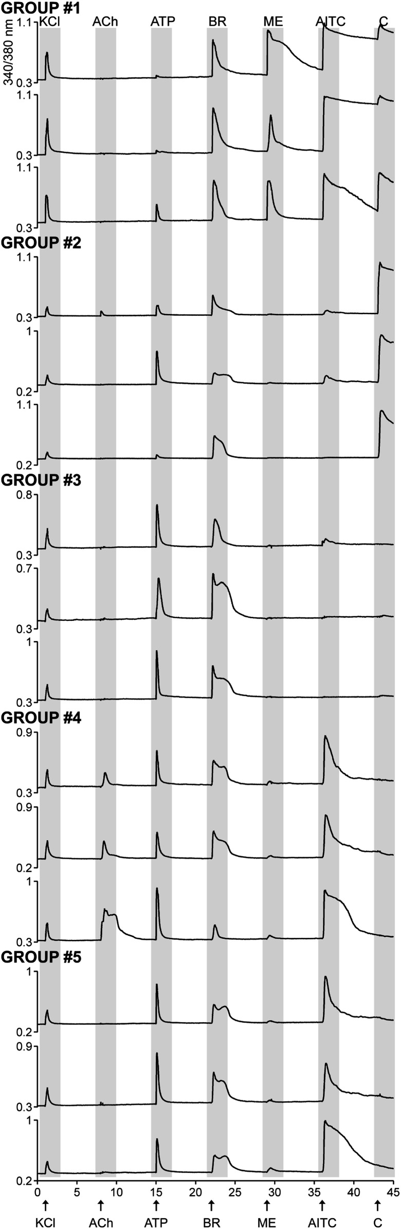 Fig. 3.