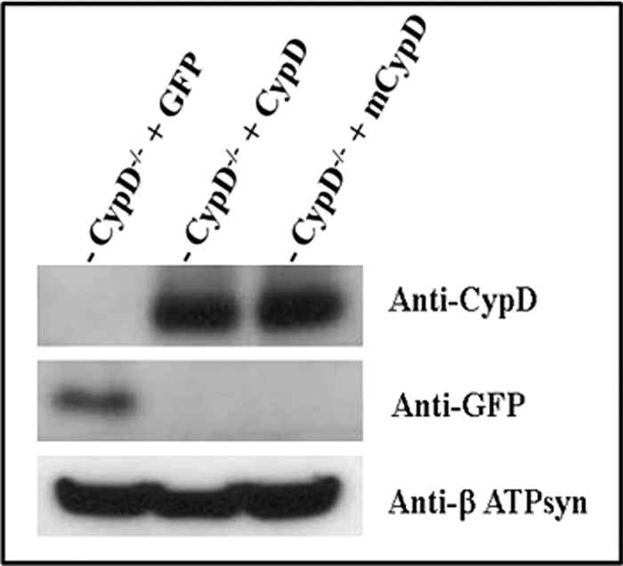 FIGURE 7.