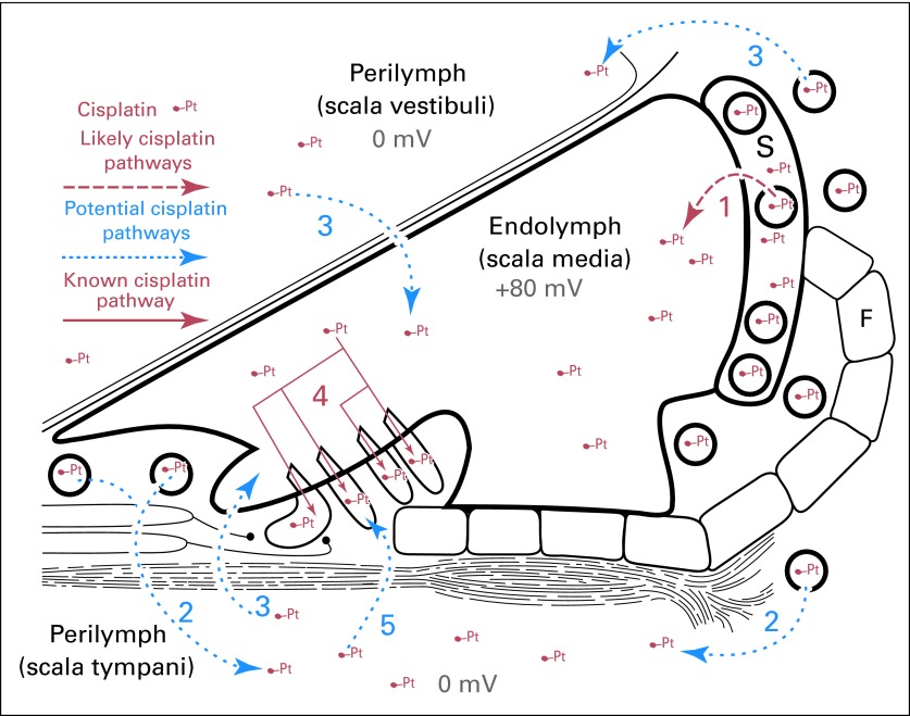 Fig 1.