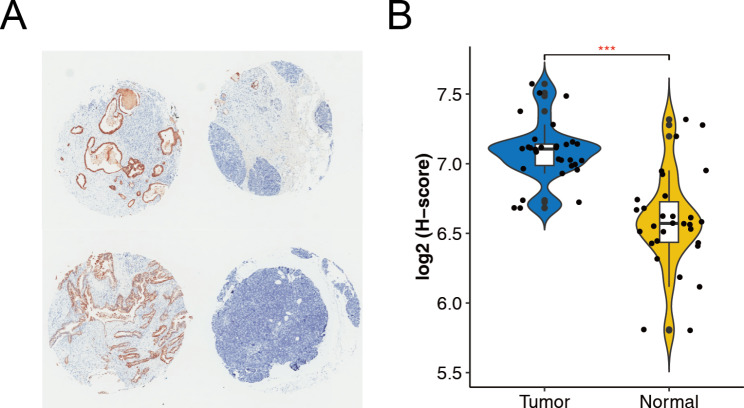 Fig. 10