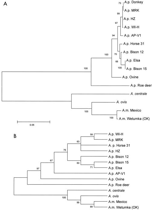 FIG. 1.