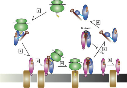 FIGURE 7.