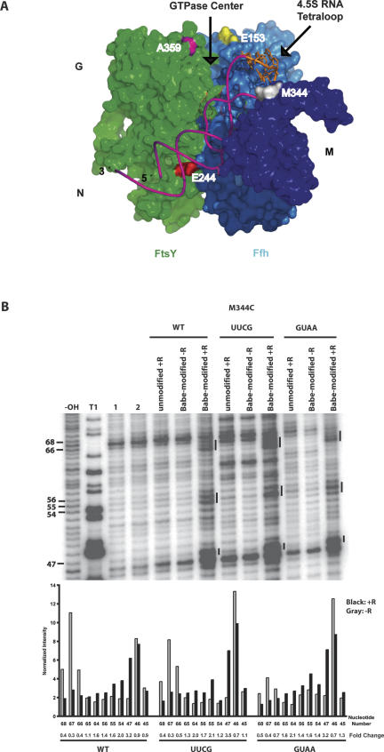 FIGURE 4.