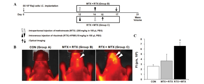 Figure 3.