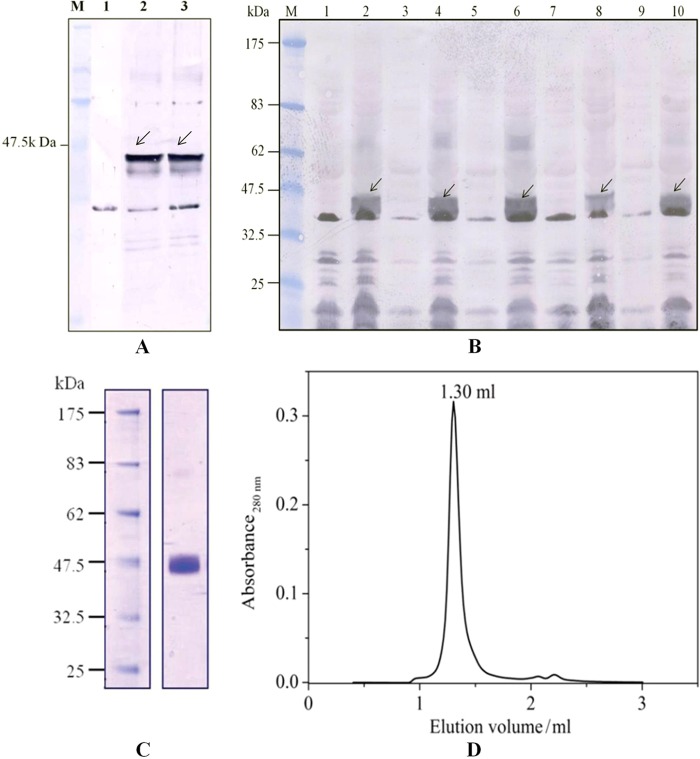 FIGURE 1.