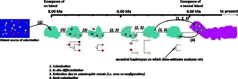 Fig. 8