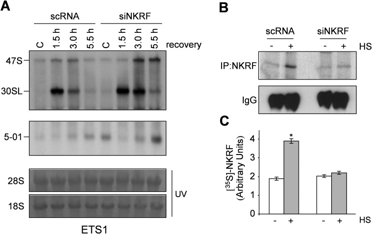 Fig. S9.