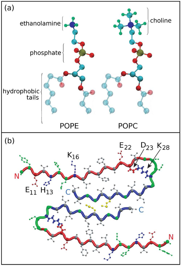 Figure 1: