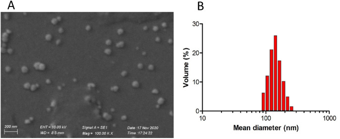 Fig. 5