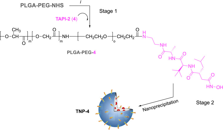 Scheme 3