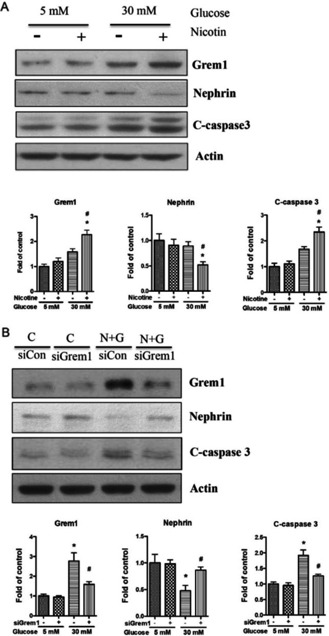 Fig. 12