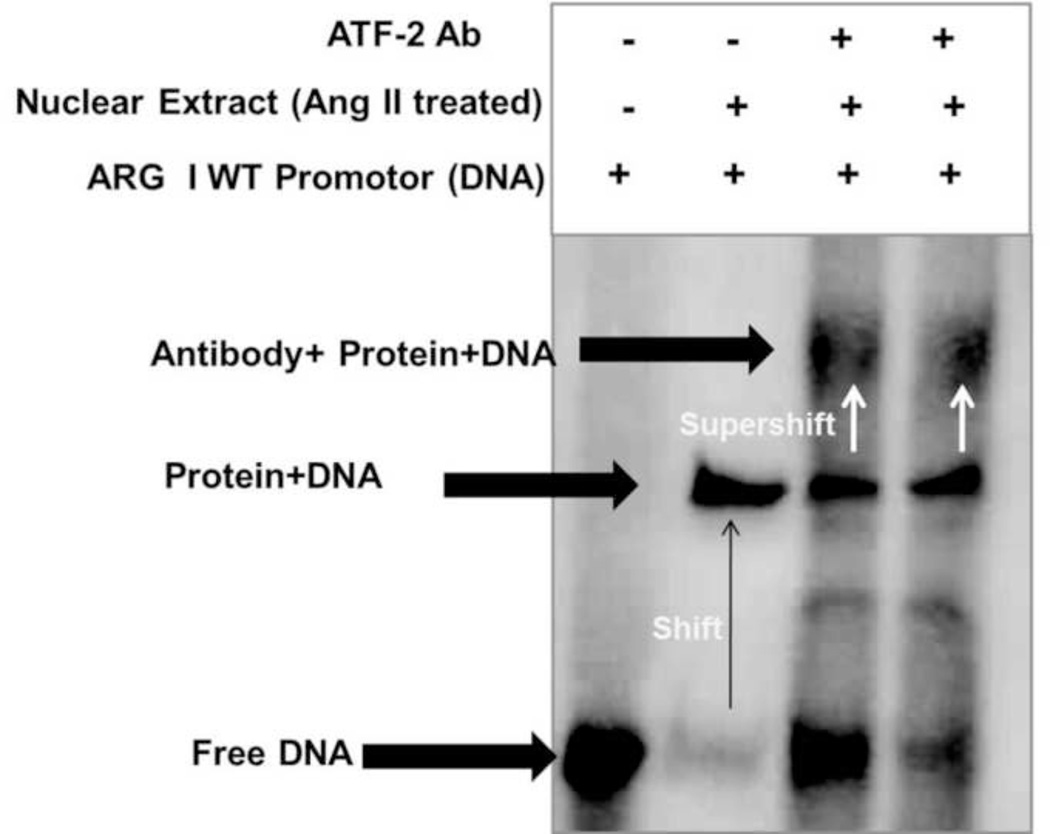 Fig 7