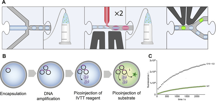 Figure 14