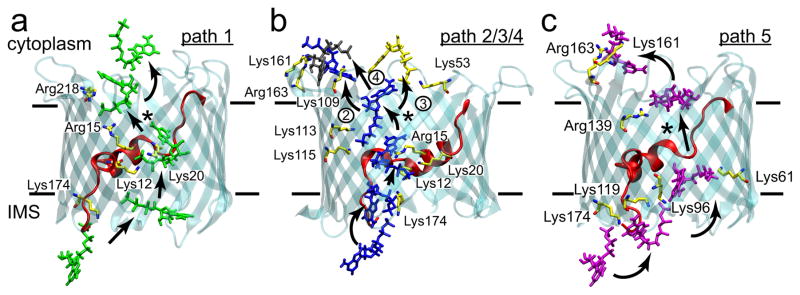 Fig. 6