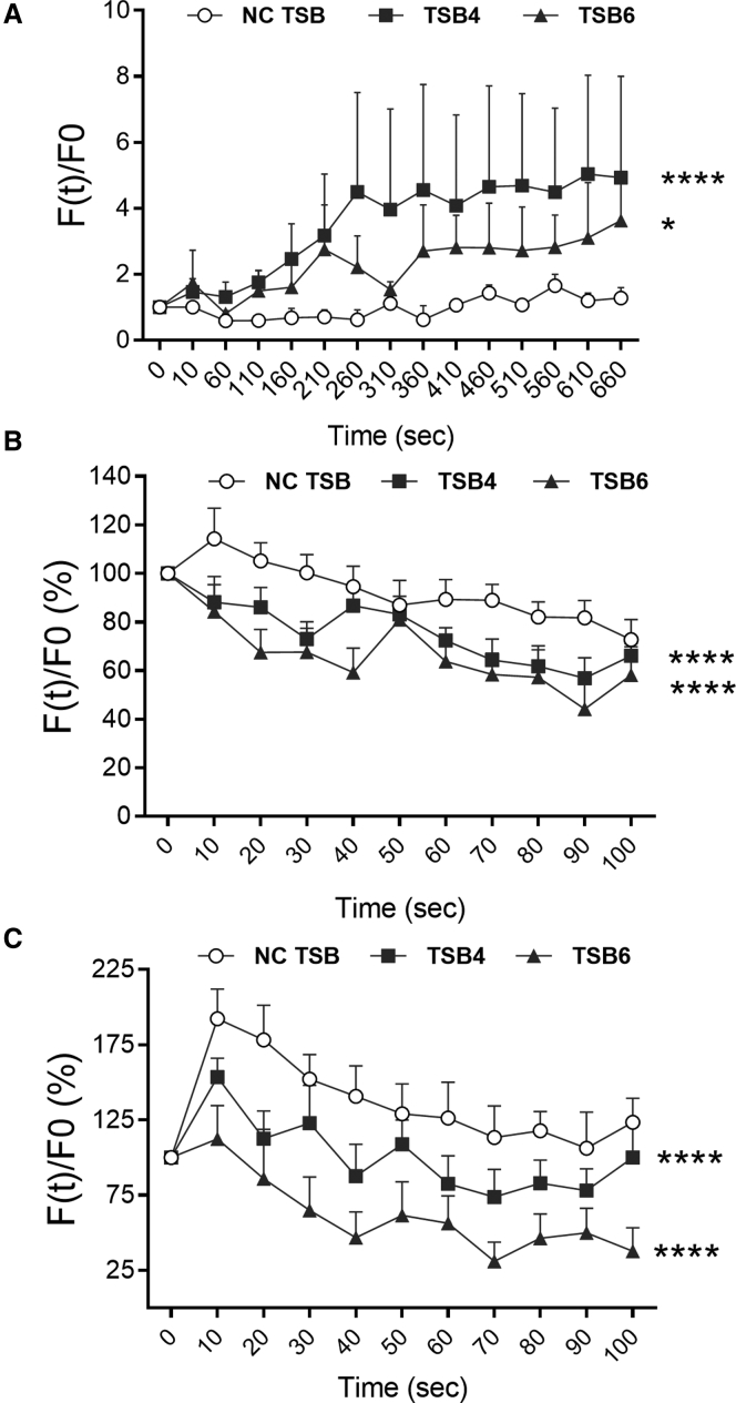 Figure 4