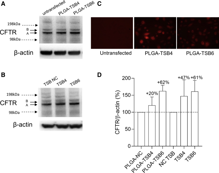 Figure 7