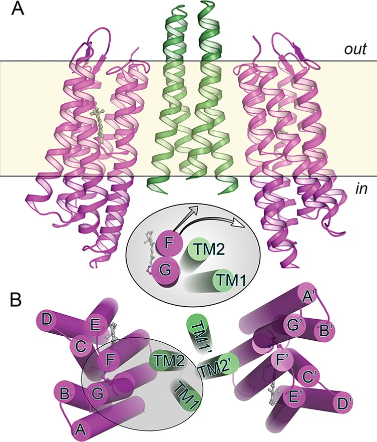 Figure 16