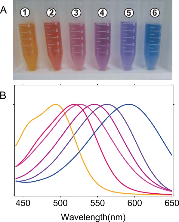 Figure 5