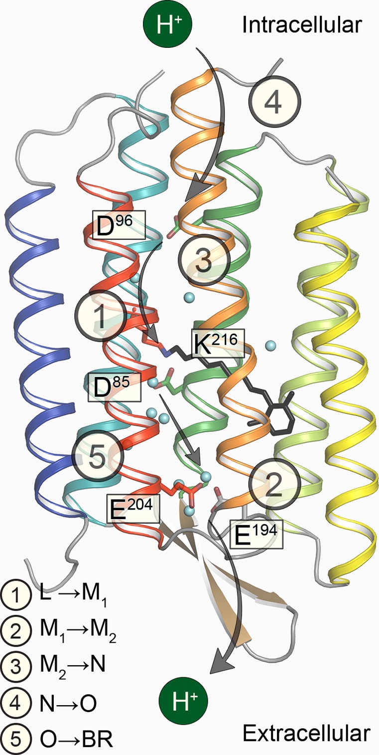 Figure 13