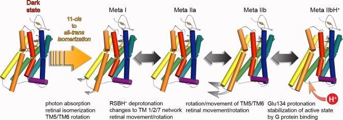 Figure 26