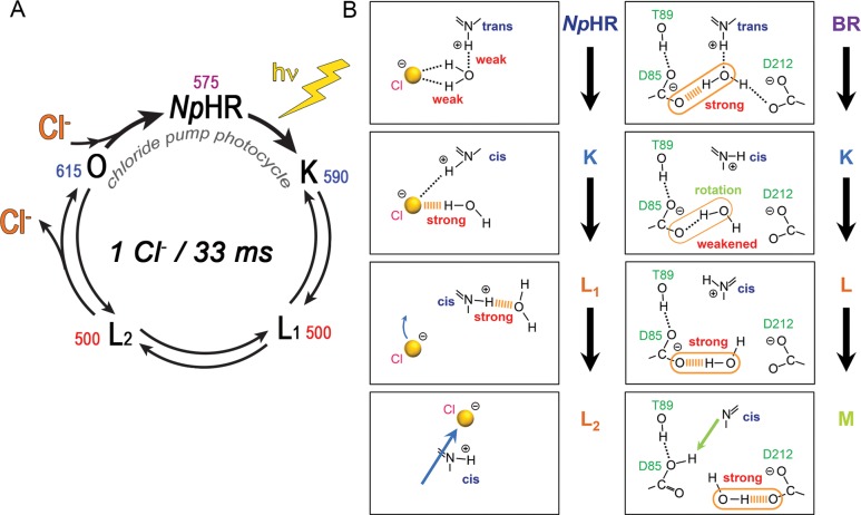 Figure 15