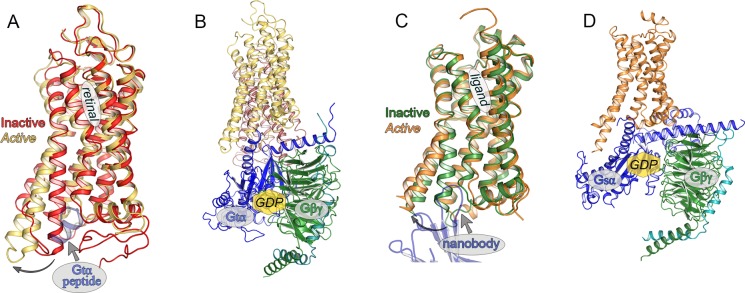 Figure 19