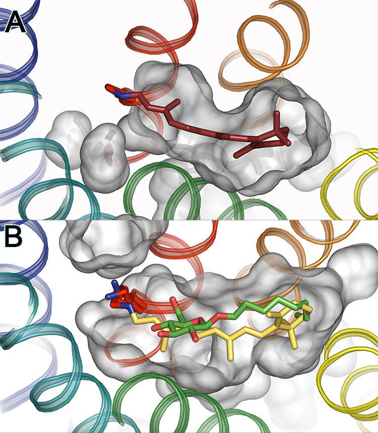 Figure 28