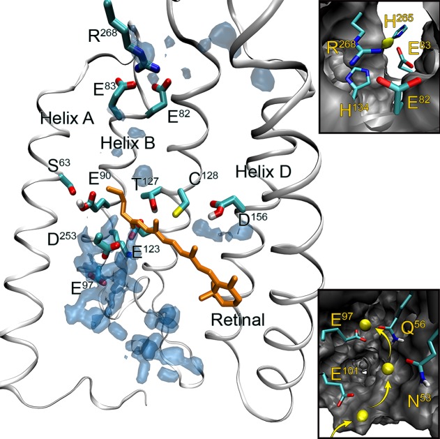 Figure 17